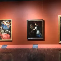 Musée des Beaux-Arts d'Orléans - Orleans