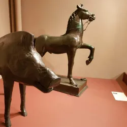 Musée Historique et Archéologique d'Orléans - Orleans