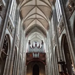 Orléans Cathedral (Cathédrale Sainte-Croix d'Orléans) - Orleans