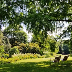 Parc Floral de la Source - Orleans