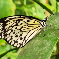 Parc Floral de la Source - Orleans