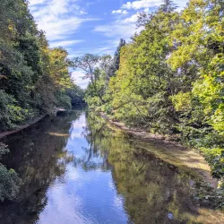 Parc Floral de la Source - Orleans