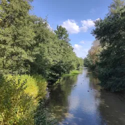 Parc Floral de la Source - Orleans