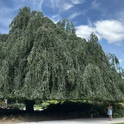 Parc Pasteur - Orleans