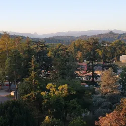 Boulevard des Pyrénées - Pau