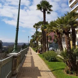 Boulevard des Pyrénées - Pau