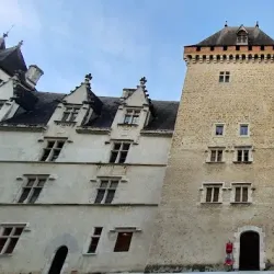 Château de Pau - Pau