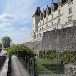 Château de Pau - Pau