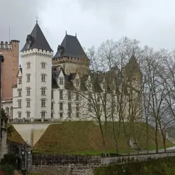 Château de Pau - Pau