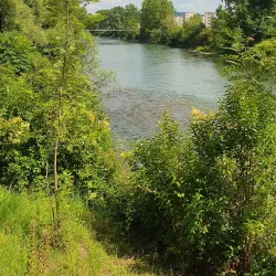 Gave de Pau River - Pau