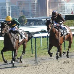 Hippodrome de Pau - Pau