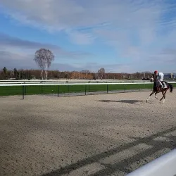 Hippodrome de Pau - Pau