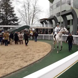 Hippodrome de Pau - Pau