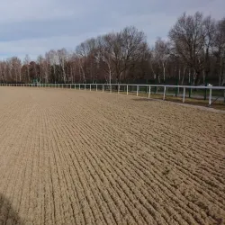 Hippodrome de Pau - Pau