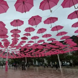 Musée Bernadotte - Pau