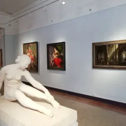 Musée des Beaux-Arts de Pau - Pau