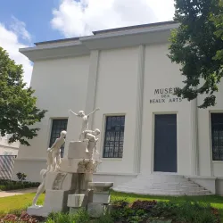 Musée des Beaux-Arts de Pau - Pau