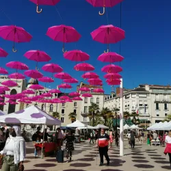 Place Clemenceau - Pau