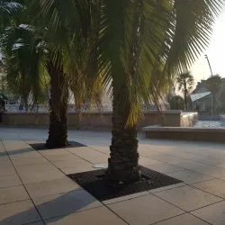 Place Clemenceau - Pau