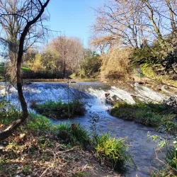 Jardin de la Miranda - Perpignan