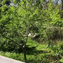 Jardin de la Miranda - Perpignan