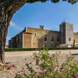 Palace of the Kings of Majorca - Perpignan