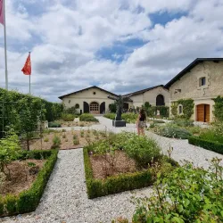 Château Pape Clément - Pessac