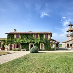 Château Smith Haut Lafitte - Pessac