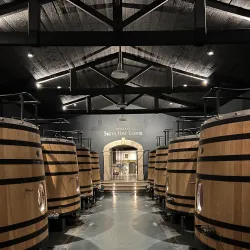 Château Smith Haut Lafitte - Pessac