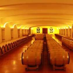 Château Smith Haut Lafitte - Pessac