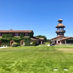 Château Smith Haut Lafitte - Pessac