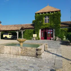 Château Smith Haut Lafitte - Pessac
