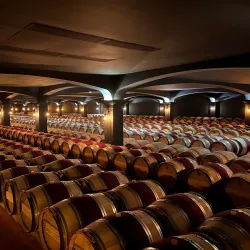 Château Smith Haut Lafitte - Pessac