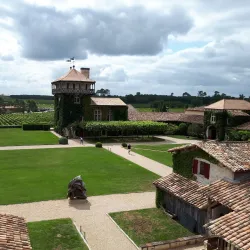 Château Smith Haut Lafitte - Pessac