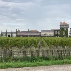 Château Smith Haut Lafitte - Pessac