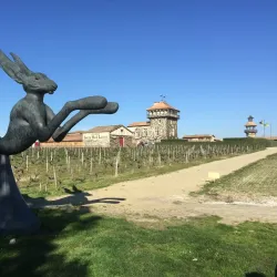 Château Smith Haut Lafitte - Pessac