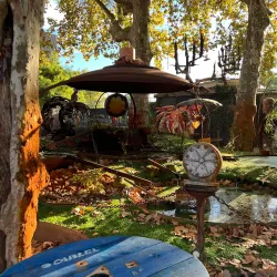 Les Vivres de l'Art - Pessac