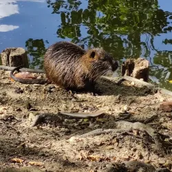 Parc de Bourran - Pessac