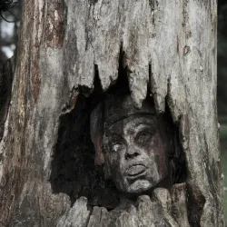 Parc de Bourran - Pessac