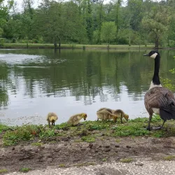 Parc de Bourran - Pessac