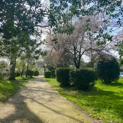 Parc de la Chêneraie - Pessac