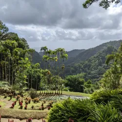 La Savane Park - Pointe-a-Pitre
