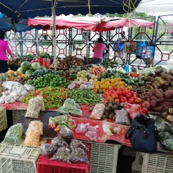 Marché Saint-Antoine - Pointe-a-Pitre