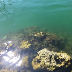 Pointe-à-Pitre Marina - Pointe-a-Pitre