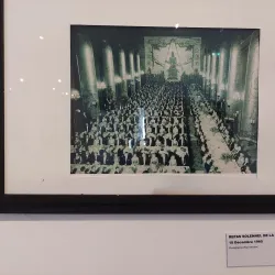 Rue Saint-John Perse - Pointe-a-Pitre