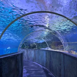 Aquarium de Poitiers - Poitiers