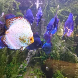 Aquarium de Poitiers - Poitiers