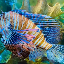 Aquarium de Poitiers - Poitiers