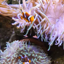 Aquarium de Poitiers - Poitiers