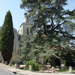 Church of Saint-Hilaire-le-Grand - Poitiers